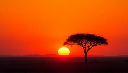 Vibrant African marketplace and savanna landscape